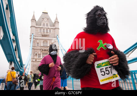 Die Läufer des Great Gorilla Run in London überqueren die Tower Bridge im Zentrum von London während des 8 km langen Laufs, der Geld für Gorilla-Naturschutzprojekte sammeln soll. Stockfoto