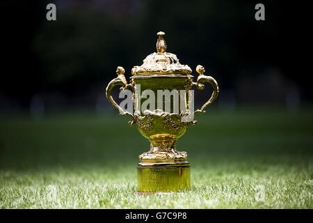 Rugby Union - 1 Jahr bis zur Rugby-Weltmeisterschaft 2015 - Rugby School. Detail des Webb Ellis Cups während einer Fotoansicht an der Rugby School, Warwickshire. Stockfoto