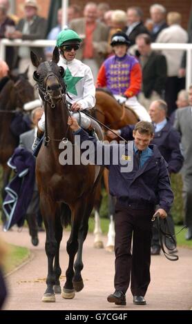 Jockeys Frankie Dettori (Vordergrund) und Kieren Fallon in der Newmarket Parade der Ring vor dem Shadwell Gestüt Joel Stakes bei Newmarket. Stockfoto