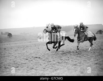 Junge Jockeys Lester Piggott (l) und Dominic Forte in einem Trainingsgalopp in Lambourn, in der Vorbereitung auf das Lincolnshire Handicap, das Eröffnungsrennen der flachen Saison. Stockfoto