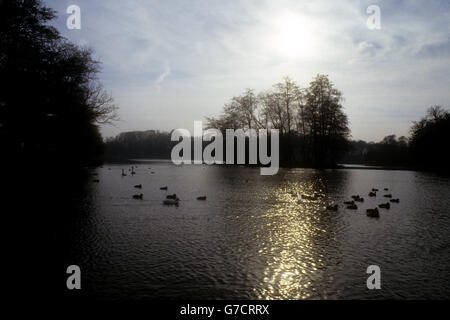 Ein See auf dem Gelände von Wollaton Hall in Wollaton Park, Nottingham, England. Die Halle wurde zwischen 1580 und 1588 für Sir Francis Willoughby erbaut und soll vom elisabethanischen Architekten Robert Smythson entworfen worden sein. 2011 wurden vor der Wollaton Hall wichtige Szenen aus dem Batman-Film The Dark Knight Rises gedreht. Stockfoto