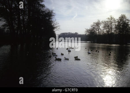 Ein See auf dem Gelände von Wollaton Hall in Wollaton Park, Nottingham, England. Die Halle wurde zwischen 1580 und 1588 für Sir Francis Willoughby erbaut und soll vom elisabethanischen Architekten Robert Smythson entworfen worden sein. 2011 wurden vor der Wollaton Hall wichtige Szenen aus dem Batman-Film The Dark Knight Rises gedreht. Stockfoto