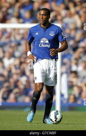 Fußball - Barclays Premier League - Everton gegen Crystal Palace - Goodison Park. Sylvain Distin, Everton Stockfoto