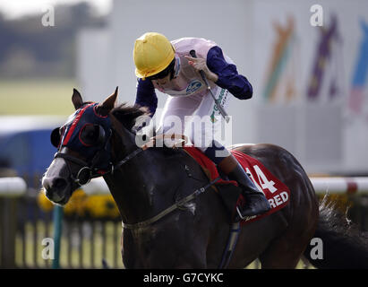 Horse Racing - Cambridgeshire Meeting - Tag drei - Newmarket Racecourse Stockfoto