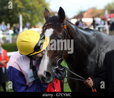 Horse Racing - Cambridgeshire Meeting - Tag drei - Newmarket Racecourse Stockfoto