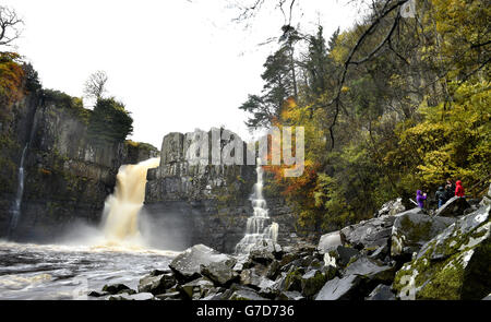 Nach heftigem Regen stürzt das Wasser über den High Force Wasserfall in Teesdale. Stockfoto