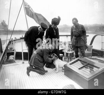 Königin Alexandra inspiziert das Spitalschiff Königin Alexandra und den Schiffshund 'Buller'. Sir Frederick Treves wird vom Hund knieend gesehen. Stockfoto