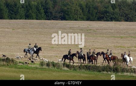 House Of Lords, auf lizenzierten Fox-Jagden zu drängen Stockfoto