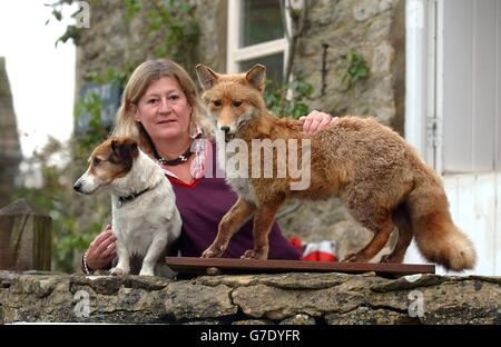 House Of Lords, auf lizenzierten Fox-Jagden zu drängen Stockfoto