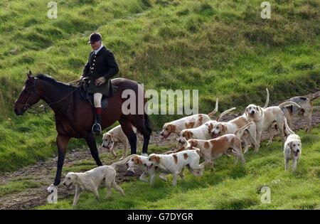 Beaufort Hunt Joint Master Capt. Ian Farquhar Fuchsjagd in der Nähe von Tetbury, Gloucestershire. Das Oberhaus wird von einer mächtigen Koalition von Gleichaltrigen aufgefordert werden, einen Aufruf zur lizenzierten Jagd mit Jagdhunden zu untersagen. Lord Donoughue, ein hochrangiger Labour-Kollege, glaubt, dass es eine „Chance“ gibt, dass genügend Mitglieder des Oberhauses eine Änderung des umstrittenen Jagdgesetzes der Regierung unterstützen werden, das den jahrhundertealten Landsport verbietet. Stockfoto