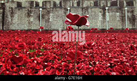 Allgemeine Ansicht des Tower of London's Blood Swept Lands und Seas of Red Installation , London. Historic Royal Palaces, die Wohltätigkeitsorganisation, die sich um den Tower of London kümmert, begeht den 100. Jahrestag des Ersten Weltkriegs, indem sie 800,000 Keramikmohn in den Trockengraben um den Tower installiert. Stockfoto