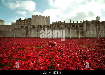 Allgemeine Ansicht des Tower of London's Blood Swept Lands und Seas of Red Installation , London. Historic Royal Palaces, die Wohltätigkeitsorganisation, die sich um den Tower of London kümmert, begeht den 100. Jahrestag des Ersten Weltkriegs, indem sie 800,000 Keramikmohn in den Trockengraben um den Tower installiert. Stockfoto