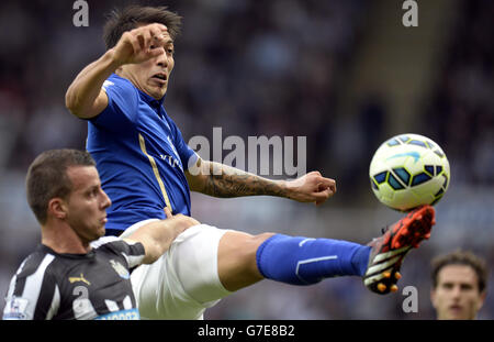 Fußball - Barclays Premier League - Newcastle United / Leicester City - St. James' Park. Leonardo Ulloa von Leicester und Steven Taylor von Newcastle United während des Spiels der Barclays Premier League im St. James' Park, Newcastle. Stockfoto