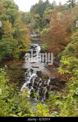 Ein Blick auf die Corra Linn Wasserfälle, die Teil der Falls of Clyde ist, in New Lanark, Schottland. Stockfoto