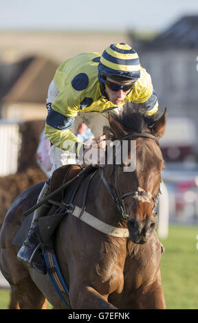 Waltz Darling räumt den letzten Zaun während der Border Safeguard Novices' Limited Handicap Chase zum ersten Mal auf der Musselburgh Racecourse, East Lothian. Stockfoto