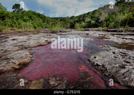 Gesamtansicht von Cano Cristales, La Macarena in Kolumbien, am dritten Tag der Tour des Prinzen von Wales und der Herzogin von Cornwall nach Kolumbien und Mexiko. DRÜCKEN Sie VERBANDSFOTO. Siehe PA Story: ROYAL Tour. Bildnachweis sollte lauten: Anthony Devlin/PA Pool Stockfoto