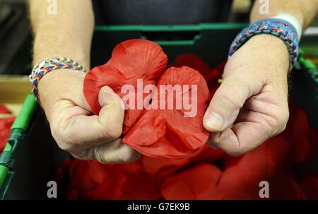 The Poppy Factory - Surrey. Poppy Appeal. Stockfoto