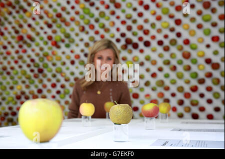 Der hässlichste Apfel der Welt, der Knobby Russett (Mitte), wird im Real Apple Store im Londoner Borough Market ausgestellt. Stockfoto