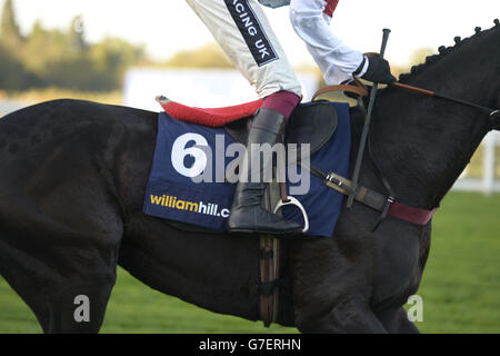 Pferderennen Sie - United House Gruppe Raceday - Ascot Racecourse Stockfoto