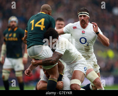 Englands Courtney Lawes und Englands Chris Robshaw bekämpfen Südafrikas JP Pietersen während der QBE International in Twickenham, London. Stockfoto