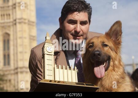 Westminster Dog the Year Wettbewerb Stockfoto