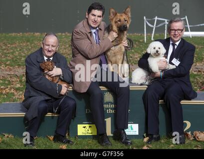 Westminster Dog the Year Wettbewerb Stockfoto