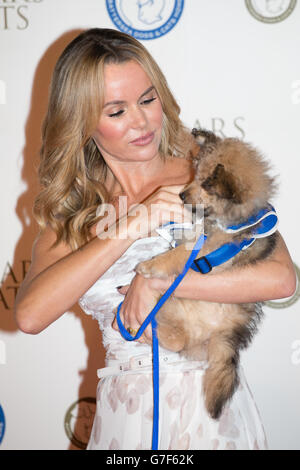 Amanda Holden kommt am Battersea Dogs' Collars and Coats Gala Fundraising Ball im Battersea Evolution Marquee in London an. Stockfoto