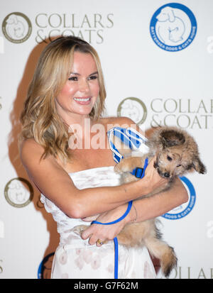 Amanda Holden kommt am Battersea Dogs' Collars and Coats Gala Fundraising Ball im Battersea Evolution Marquee in London an. Stockfoto