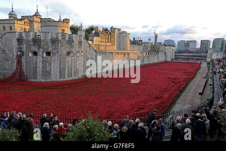 Mitglieder der Öffentlichkeit halten an, um sich die Keramikmohn anzusehen, die Teil der Kunstinstallation "Blood Swept Lands and Seas of Red" des Künstlers Paul Cummins im Tower of London sind, anlässlich des 100. Jahrestages des Ersten Weltkriegs Stockfoto