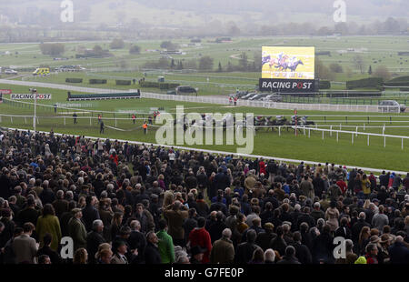 Horse Racing - Open - Tag drei - Cheltenham Racecourse Stockfoto