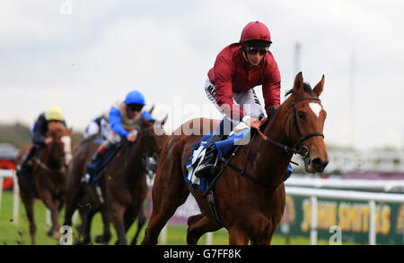 Pferderennen - Racing Post Trophy Freitag - Doncaster Racecourse Stockfoto