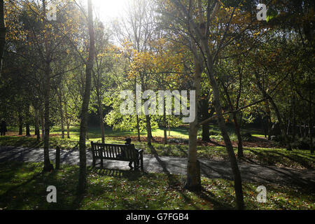 BILD VOM MODEL EINE Frau liest in der Herbstsonne im Hyde Park im Zentrum Londons. Stockfoto