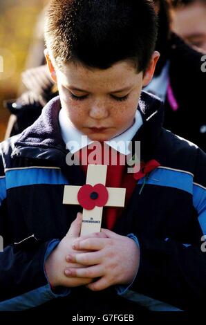 Eine Schülerin der Britannia School hält während einer Waffenstillstandfeier auf dem Ehrenfriedhof in Ipswich, Suffolk, ein Gedenkkreuz ab. Kinder von vier örtlichen Grundschulen nahmen an der Verlegung von Kreuzen am Fuße jedes Grabes Teil, was 59 Jahre seit dem Ende des Zweiten Weltkriegs markierte. Stockfoto