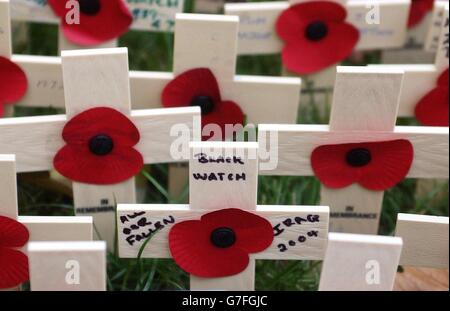 Eine Botschaft an einem Kreuz für die im Irak getöteten Black Watch-Soldaten wird auf dem Feld der Erinnerung auf dem Gelände der Londoner Westminster Abbey während eines Dienstes zum Waffenstillstandstag gepflanzt. Hunderte von kleinen Holzkreuzen, die auf dem Gelände der Abtei gepflanzt und mit einem blutroten Mohnblumen geschmückt sind, tragen den Namen eines gefallenen Angehörigen und die Botschaft des Gedenkens. Stockfoto