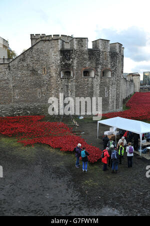 Freiwillige helfen, die Keramikmohn an der Blood Swept Lands und Seas of Red Installation im Tower of London zu demontieren. Stockfoto