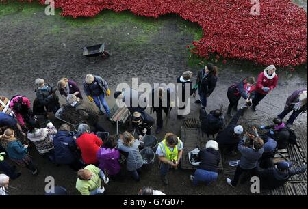 Freiwillige helfen, die Keramikmohn an der Blood Swept Lands und Seas of Red Installation im Tower of London zu demontieren. Stockfoto