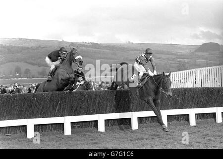 Frau J.B. McGowans Davy Lad mit Dessie Hughes im Sattel nimmt den letzten Zaun an der Spitze auf dem Weg zum Gewinn des Piper Champagne Cheltenham Gold Cup Chase ein. Der zweite war Tied Cottage (l), Tommy Carberry up, mit Summerville (Mitte), die Anzahl von Jeff ]King auf dem dritten Platz. Stockfoto