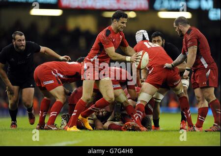 Mike Phillips von Wales versucht einen Boxkick, der nach unten geschürt wird, was dazu führt, dass Kieran Read (nicht im Bild) aus Neuseeland eintaucht, um beim Spiel der Dove Men Series im Millennium Stadium, Cardiff, den vierten Versuch seiner Mannschaft zu erzielen. Stockfoto