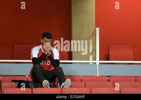 Ein Arsenal-Fan wird nach dem letzten Pfiff im Barclays Premier League-Spiel im Emirates Stadium, London, in der Tribüne niedergeschlagen. DRÜCKEN SIE VERBANDSFOTO. Bilddatum: Samstag, 22. November 2014. Siehe PA Geschichte FUSSBALL Arsenal. Der Bildnachweis sollte Mike Egerton/PA Wire lauten. Maximal 45 Bilder während eines Matches. Keine Videoemulation oder Promotion als „live“. Keine Verwendung in Spielen, Wettbewerben, Werbeartikeln, Wetten oder Einzelclub-/Spielerdiensten. Keine Verwendung mit inoffiziellen Audio-, Video-, Daten-, Spiele- oder Club/League-Logos. Stockfoto