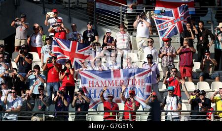 Motor Racing - Formel 1 Weltmeisterschaft - 2014 Abu Dhabi Grand Prix - Rennen - Yas Marina Circuit Stockfoto