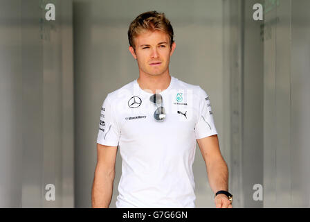 Motorsport - Formel-1-Weltmeisterschaft - 2014 Abu Dhabi Grand Prix - Training - Yas Marina Circuit. Mercedes Nico Rosberg auf dem Yas Marina Circuit, Abu Dhabi. Stockfoto
