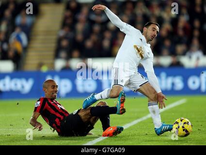 Fußball - Barclays Premier League - Swansea City V Queens Park Rangers - Liberty Stadium Stockfoto