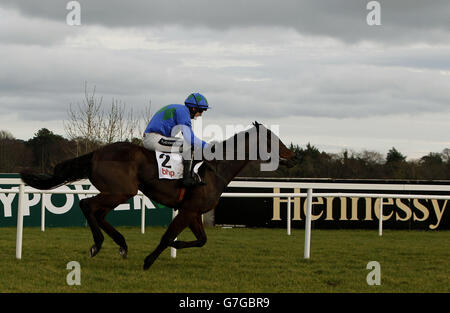 Hurricane Fly von Ruby Walsh Rennen auf dem Weg zum Sieg der irischen Meisterhürde der BHP Insurances auf dem Hurdle Day des BHP Insurance Champion auf der Leopardstown Racecourse in Dublin. DRÜCKEN SIE ASOCIATION Photo. Bilddatum: Sonntag, 25. Januar 2015. Siehe PA Geschichte RENNEN Leopardstown. Das Foto sollte lauten: Brian Lawless/PA Wire Stockfoto