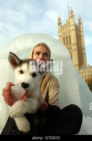 Ein Husky-Welpe mit der arktischen Forscherin Mille Porslid in Victoria Gardens vor dem House of Lords im Zentrum von London, um auf die schädlichen Auswirkungen des Klimawandels auf Menschen und Orte auf der ganzen Welt aufmerksam zu machen. Mille Porsild, die die Auswirkungen der globalen Erwärmung auf die Arktis misst, traf sich mit Politikern, um über die sich verändernde Umwelt zu sprechen, die Menschen und Wildtiere in der Arktis betrifft. Start der WWF-Initiative "Klimazeugen", Teil der neuen Kampagne zum Klimawandel. Der WWF wird dem Klimawandel ein menschliches Gesicht geben, indem er das Bewusstsein dafür schärft, wie Menschen in ganz Großbritannien darauf aufmerksam machen Stockfoto