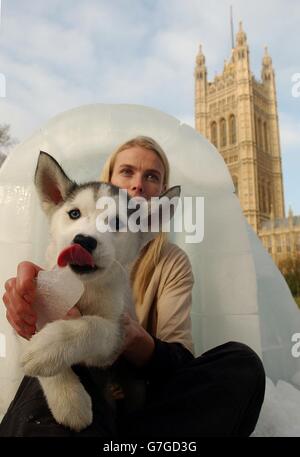 Ein Husky-Welpe mit der arktischen Forscherin Mille Porslid in Victoria Gardens vor dem House of Lords im Zentrum von London, um auf die schädlichen Auswirkungen des Klimawandels auf Menschen und Orte auf der ganzen Welt aufmerksam zu machen. Mille Porsild, die die Auswirkungen der globalen Erwärmung auf die Arktis misst, traf sich mit Politikern, um über die sich verändernde Umwelt zu sprechen, die Menschen und Wildtiere in der Arktis betrifft. Start der WWF-Initiative "Klimazeugen", Teil der neuen Kampagne zum Klimawandel. Der WWF wird dem Klimawandel ein menschliches Gesicht geben, indem er das Bewusstsein dafür schärft, wie Menschen in ganz Großbritannien darauf aufmerksam machen Stockfoto