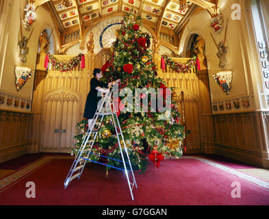 Die Kuratorin des Royal Collection Trust Sally Goodsir bringt den letzten Schliff an einen sechs Meter langen Nordman-Tannenbaum aus dem Windsor Great Park, der Teil der Weihnachtsausstellung in St. George's Hall im Windsor Castle in Berkshire ist. Stockfoto