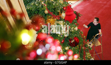 Die Kuratorin des Royal Collection Trust Sally Goodsir bringt den letzten Schliff an einen sechs Meter langen Nordman-Tannenbaum aus dem Windsor Great Park, der Teil der Weihnachtsausstellung in St. George's Hall im Windsor Castle in Berkshire ist. Stockfoto