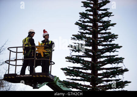 Die Modellbauerin Katrina James (rechts) bereitet sich darauf vor, einen LEGO-Stern auf einen acht Meter hohen Weihnachtsbaum aus 300,000 Steinen im LEGOLAND Windsor Resort in der Grafschaft von Laurens zu legen. Stockfoto