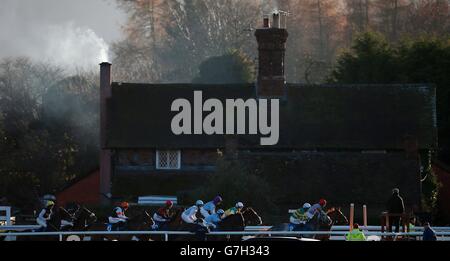 Pferderennen Sie-Ludlow Rennbahn Stockfoto