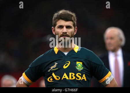 Rugby Union - Dove Men Series 2014 - Wales / Südafrika - Millennium Stadium. Willie le Roux, Südafrika Stockfoto